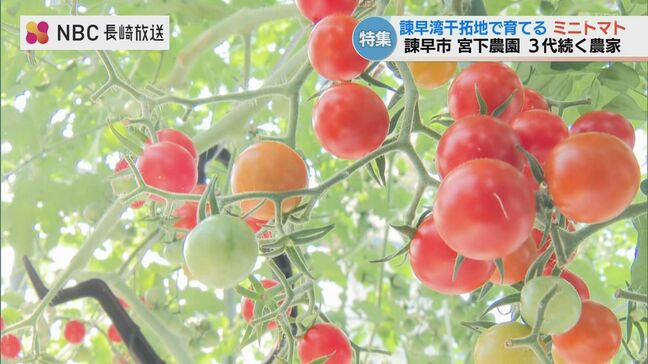 「重油代620万円」に危機感…トマト農家が自作した冷暖房システム 燃料使用量82%削減の秘密とは【長崎県諫早市】|TBS NEWS DIG