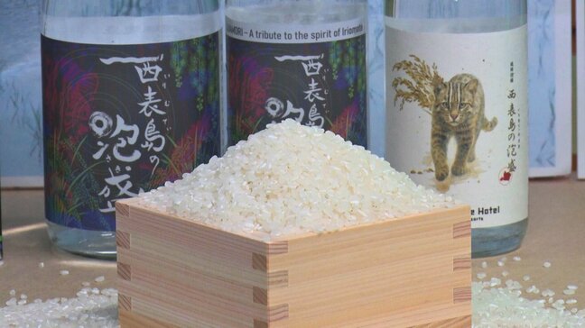 西表島の米と水を使った泡盛が誕生　東京農工大学などが環境に配慮した栽培技術を提供|TBS NEWS DIG
