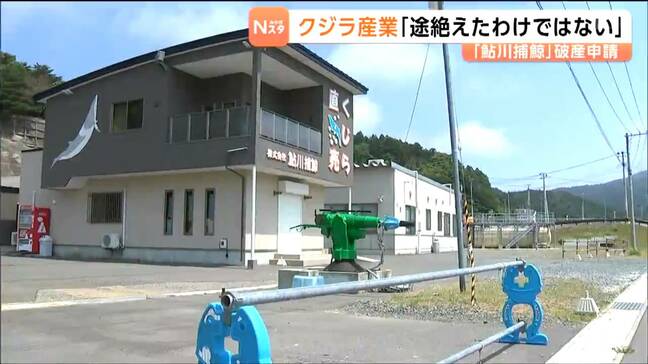 商業捕鯨に移行したら赤字が続いた捕鯨会社の自己破産申請…その複雑な事情とは 宮城・石巻市|TBS NEWS DIG