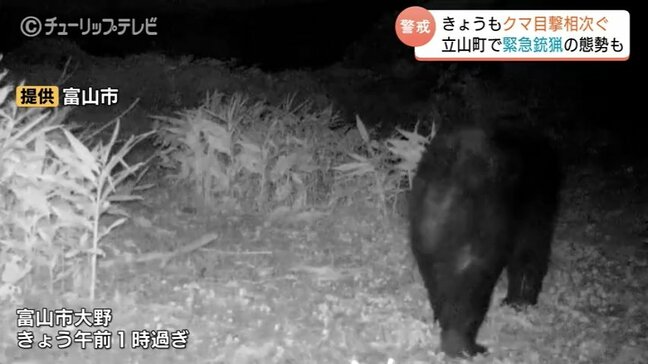 富山・立山町で初の緊急銃猟　子グマ1頭目撃も見つからず解除　「通り道になっている」　|TBS NEWS DIG