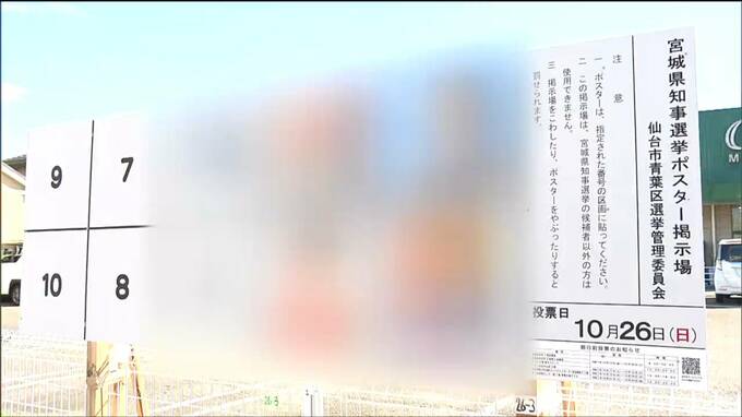 宮城県知事選挙ポスター掲示板に落書き「特定の候補者へ誹謗中傷」43歳男を現行犯逮捕|TBS NEWS DIG