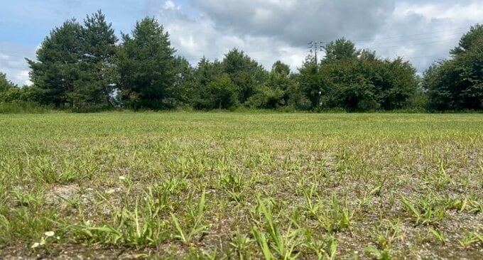 16歳の少年を含む3人逮捕　夜中に山中で暴行…顔見知りの男性をハンマーなどで殴る蹴る（山形・南陽署）　|　山形のニュース│TUYテレビユー山形