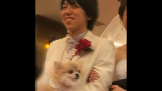 検索履歴は「溺死　殺人」「完全犯罪　海水浴」水難事故に見せかけて妻殺害の罪に問われた男　大阪高裁の判決を不服として最高裁へ上告　和歌山・白浜町|TBS NEWS DIG