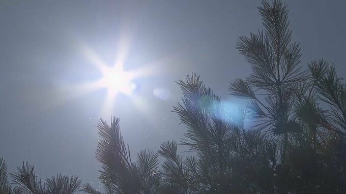 【速報】兵庫・豊岡で「39．4℃」1918年の観測開始以来初めて　兵庫県内での最高気温更新|TBS NEWS DIG