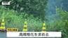 事故が相次ぐ月山道路の高規格化を緊急要望　崖下転落で男性死亡受け　国交省「必要性検討する」（山形）　|　山形のニュース│TUYテレビユー山形