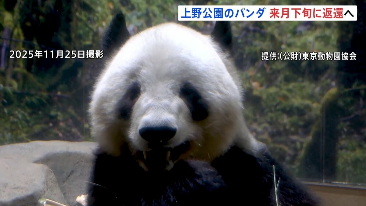 上野動物園シャオシャオ@レイレイ 上野動物園のパンダ「シャオシャオ」「レイレイ」 1月下旬に中国返還