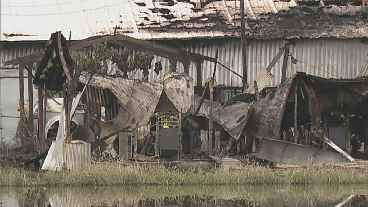 飼育されていたブタ約400匹が死ぬ  養豚場で火事… 1棟全焼 2棟が半焼  家畜用のヒーターが原因か  愛知・豊川市