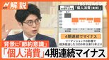 GDPマイナス成長の要因は?「個人消費」4期連続マイナス 背景に「節約意識」根強く【Nスタ解説】|TBS NEWS DIG