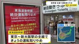 東海道新幹線が29日の運転を全て取りやめ 利用客に混乱「バスも在来線もない」「帰れなくなった」|TBS NEWS DIG