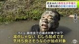 生徒260人が参加　恒例の「全校田植え競技会」　序盤は丁寧に植えていくも…　最後はみんなで泥だらけに「むしろ加点です！気持ち良さそうなのが加点対象！」　昔ながらの手植えで思い出作り　五所川原農林高校　|　青森のニュース│ATV NEWS│青森テレビ