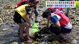 「見たことのない柄のカニも」子どもたちが津軽海峡の海の豊かさを『磯観察』で学ぶ　青森県大間町　|　青森のニュース│ATV NEWS│青森テレビ
