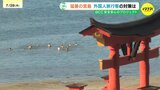 「泳ぎたくなっちゃうのは確かにわかる」　宮島の大鳥居付近で外国人観光客が海水浴　あまりの暑さに英語での注意喚起ポスターも登場　広島　|TBS NEWS DIG