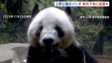 上野動物園のパンダ「シャオシャオ」「レイレイ」 1月下旬に中国返還　国内のパンダ「0頭」に　新たなパンダ貸与に向け交渉続けるも「具体的な回答なし」|TBS NEWS DIG