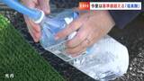 吉備中央町でまたまた水道水の問題発覚 水質検査で基準値を超える「塩素酸」が検出されるも放置【岡山】|TBS NEWS DIG