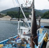 体長3メートルの“メジロサメ”がギンザケ食い荒らす 女川町の養殖施設で被害 「海での作業・レジャーに注意呼びかけ」宮城　|　宮城のニュース│tbc NEWS│tbc東北放送