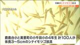 児童が「里親」学校で卵から育てた“絶滅危惧種シナイモツゴ”を放流　宮城・大崎市　|　宮城のニュース│tbc NEWS│tbc東北放送