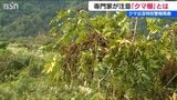 相次ぐクマの出没で新潟県は特別警報発表 鳥の巣のような枝葉の集まり“クマ棚”に注意 専門家が解説 | 新潟のニュース・天気|BSN NEWS|BSN新潟放送
