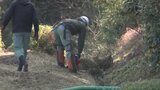 松山城の山林、管理計画前倒しで緊急伐採開始 愛媛 | 愛媛のニュース - Nスタえひめ|あいテレビは6チャンネル