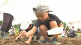 園児が河川敷にコスモスの種まき 秋には1キロにわたり色とりどりの花が咲き誇る 大分 | 大分のニュース|OBS NEWS|大分放送