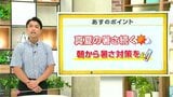 高知の天気　15日　雲広がるも真夏の暑さ続く　山岸拓気象予報士が解説　|　高知のニュース・天気｜KUTV NEWS | KUTVテレビ高知