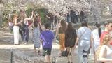 米 3月雇用統計 +22.8万人 市場予想大幅に上回る|TBS NEWS DIG