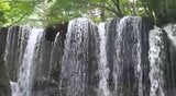 高原の風がミストを運んで…「涼しいですね、寒いくらい…」長野・菅平高原「唐沢の滝」流れる水が黒い岩肌を白く染めて | SBC NEWS | 長野のニュース | SBC信越放送