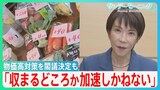 「物価高は収まるどころか加速しかねない」コロナ後最大21.3兆円の「総合経済対策」を閣議決定も更なる円安＆物価高の懸念…【サンデーモーニング】|TBS NEWS DIG