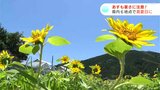 「暑い!夏ですね」高知県内6地点で真夏日に 14日も暑さ対策を! | 高知のニュース・天気|KUTV NEWS | KUTVテレビ高知