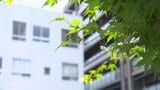35歳の夫の頭にナイロン袋を被せ殺害しようとした疑い 同居の妻(38)を嘱託殺人未遂容疑で逮捕 | 愛媛のニュース - Nスタえひめ|あいテレビは6チャンネル