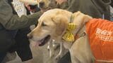 北海道盲導犬協会「ガイドドッグオープンデー」体験歩行やデモンストレーションほか、犬と触れ合うコーナーなど　一般開放イベント25日午後3時まで|TBS NEWS DIG