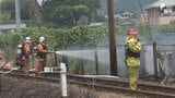 大井川鉄道 線路周辺の枯れ草火災で運転再開のめど立たず パーシー号は全便運転取りやめ=静岡【続報】|TBS NEWS DIG