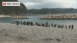 男女対抗7本勝負!「大宝の綱引き」五島 | 長崎のニュース | 天気 | NBC長崎放送