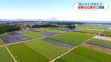 「2030年度に800億円に」鹿児島県が輸出目標額の方針を公表 輸出先を多角化へ | 鹿児島のニュース|MBC NEWS|南日本放送