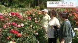 約200種のバラが見ごろに　高千穂町の民家のバラ園　31日まで一般公開　|　MRTニュース ｜ ＭＲＴ宮崎放送