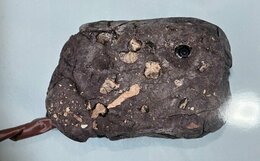 カメラはなぜ見つかった？ 岩に似せたカメラで露天風呂を盗撮した男  何年も通い続けた撮影は、被害女性が抱いた一瞬の違和感でバレた（山形）|TBS NEWS DIG