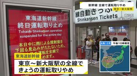 東海道新幹線が29日の運転を全て取りやめ　利用客に混乱「バスも在来線もない」「帰れなくなった」|TBS NEWS DIG
