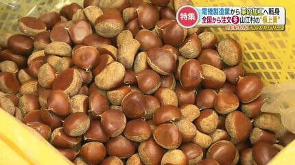経営危機から一転『栗』が村の一大産業へ 口当たり抜群で甘味が広がる