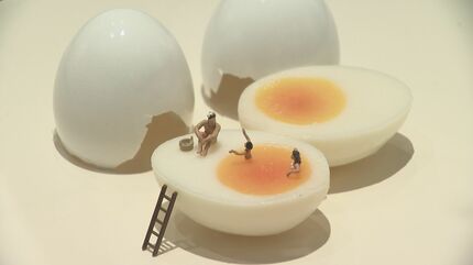 インスタフォロワー375万人 ミニチュア写真家・見立て作家・田中達也