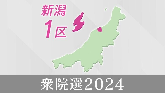 最多4人が立候補 県都・佐渡で熱戦「新潟1区」子育て・教育は？【衆院選】|TBS NEWS DIG
