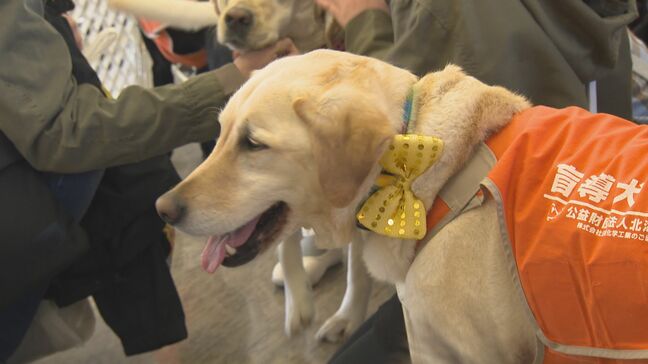 北海道盲導犬協会「ガイドドッグオープンデー」体験歩行やデモンストレーションほか、犬と触れ合うコーナーなど　一般開放イベント25日午後3時まで|TBS NEWS DIG