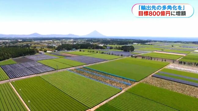 「2030年度に800億円に」鹿児島県が輸出目標額の方針を公表　輸出先を多角化へ|TBS NEWS DIG