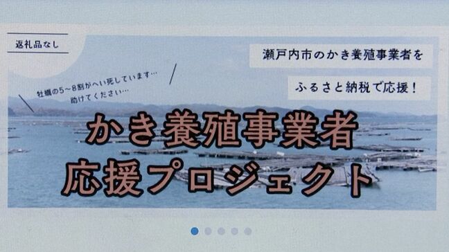 【大量の養殖カキが死滅】養殖業者を支援するため「ふるさと納税」で寄付金を募る　瀬戸内市【岡山】|TBS NEWS DIG
