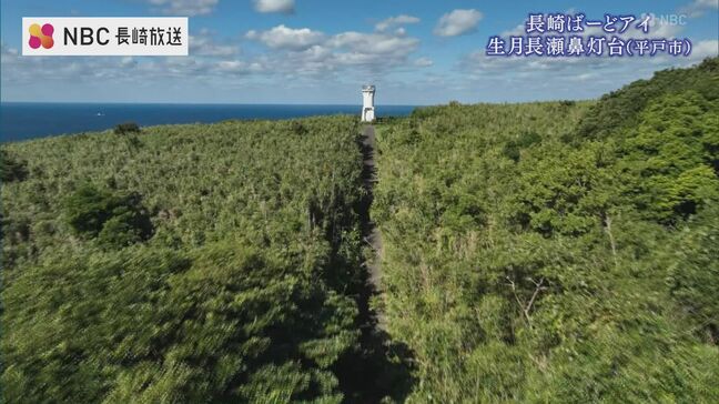 平戸・生月島にそびえる“ロケット灯台”と断崖の洞穴【ふるさと再発見「長崎ばーどアイ」】|TBS NEWS DIG
