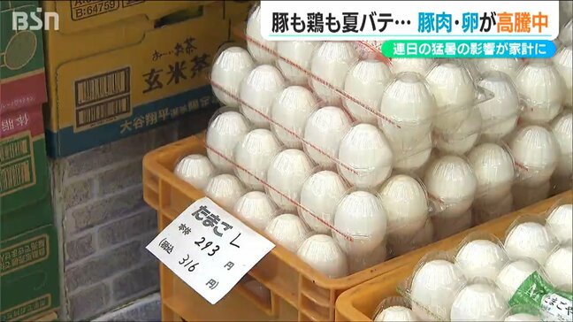 「鶏も豚も夏バテ…」猛暑で卵と豚肉が高騰! 家計を直撃 新潟|TBS NEWS DIG