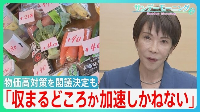 「物価高は収まるどころか加速しかねない」コロナ後最大21.3兆円の「総合経済対策」を閣議決定も更なる円安＆物価高の懸念…【サンデーモーニング】|TBS NEWS DIG