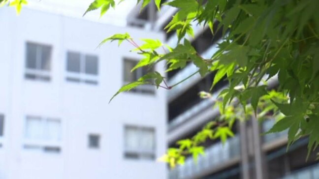 35歳の夫の頭にナイロン袋を被せ殺害しようとした疑い 同居の妻(38)を嘱託殺人未遂容疑で逮捕|TBS NEWS DIG