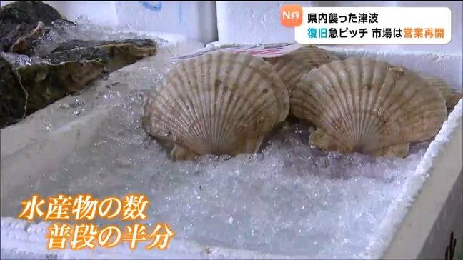 “塩釜水産物仲卸市場”営業再開 地震の影響で商品半分ほどに 宮城・塩釜市|TBS NEWS DIG