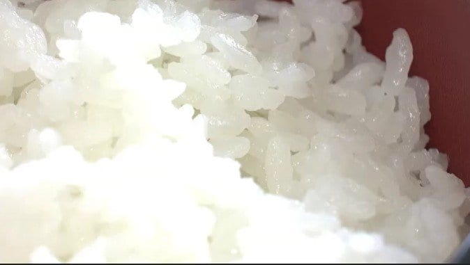 米価の高止まり「概算金高かったことが要因」気になる今後は「来年1月頃には下落が始まるのではないか」専門家が分析|TBS NEWS DIG