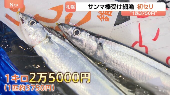 サンマの初競り「1匹あたり約3750円」 今年はサイズ小さく“比較的安い値” 北海道・根室の棒受け網漁で水揚げ|TBS NEWS DIG