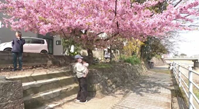 金沢で28度に 石川県内は各地で3月での1位を更新 犀川の河津桜も見頃　|　石川県のニュース｜MRO北陸放送